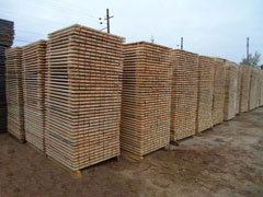 Продажа лесов в СПб